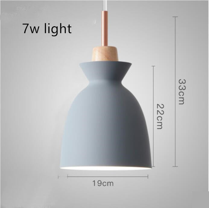 Creative retro industrial style solid wood wrought iron single head light