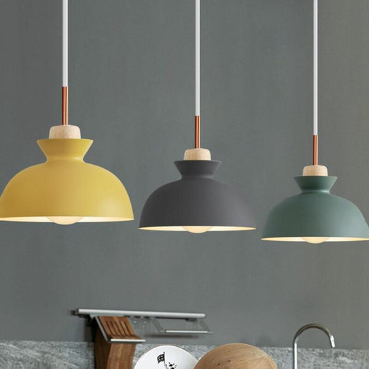 Creative retro industrial style solid wood wrought iron single head light